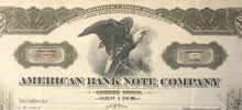 1900s American Bank Note Company Common Stock Certificate